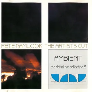 The definitive ambient collection : volume 2